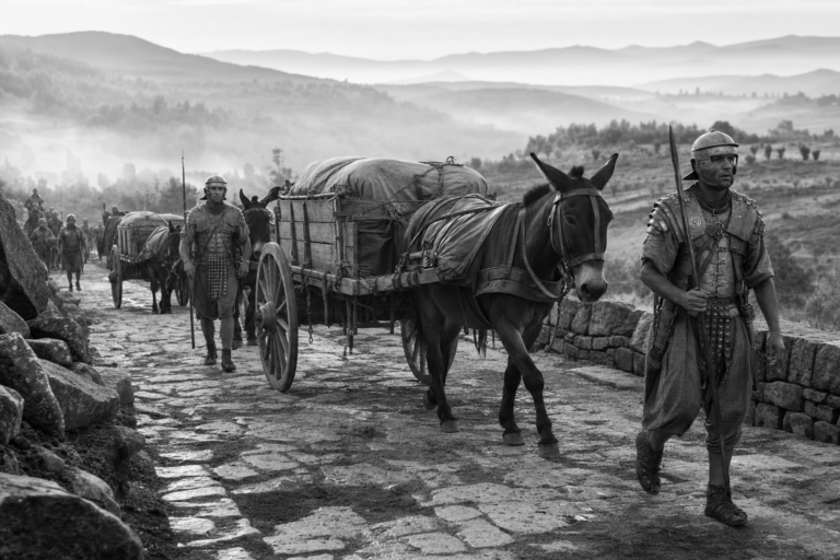 Roman Roads: Military Mobility and State Power